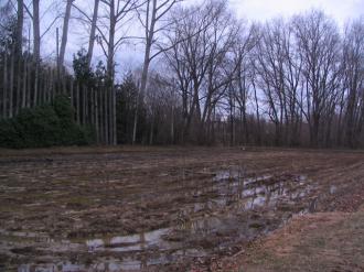 Fairlie ice rink: Aardwolfs Ice Hockey Club Southern Migration